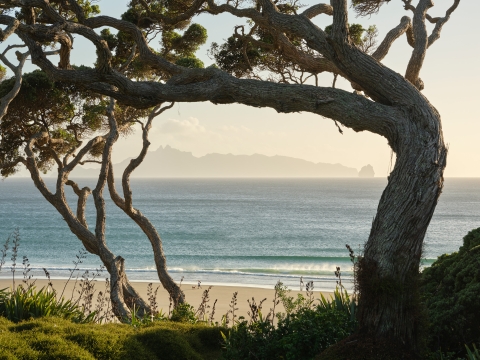 Mangawhai Beachfront